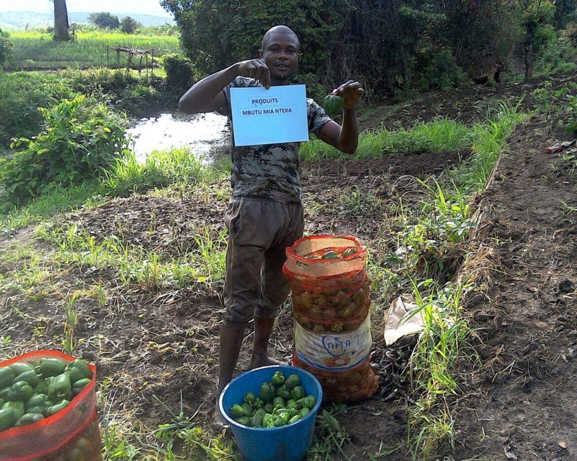 IMG_20181026_0721121-copy-1-1024×768-1